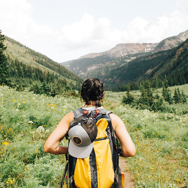 About | Camino Consulting Group