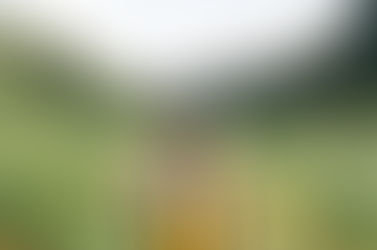 How do I know if my Kundalini is awakened?