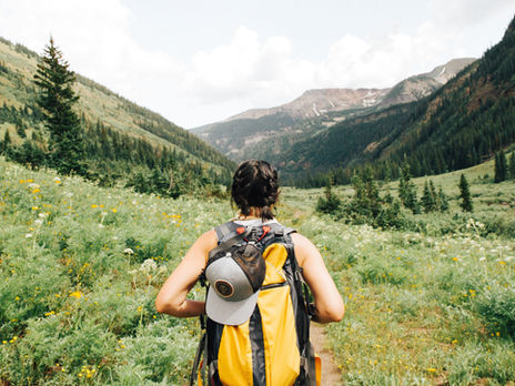 Nevada in Phase II: An At-Home Guide for Staying Sane