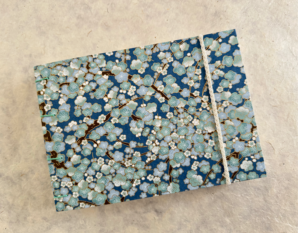 Miniature : Carnet Aquarelle Hahnemüle A5 paysage