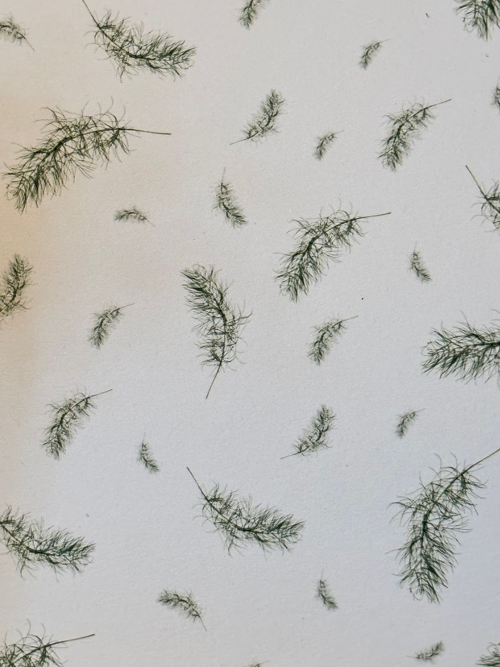 Miniature : Carnet créatif cousu main