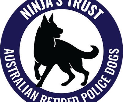 Ninja Dark Blue.png