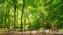 Heilwald Heringsdorf