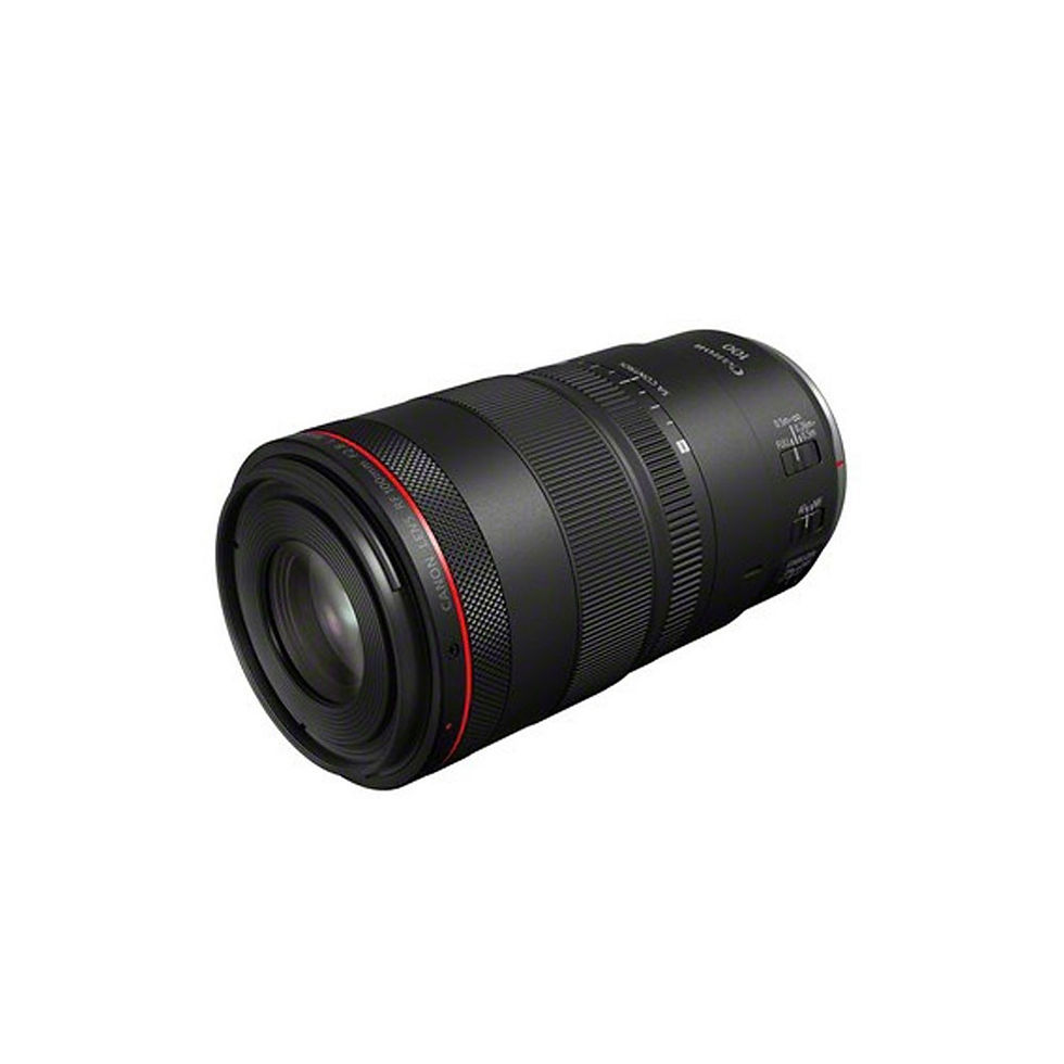 Thumbnail: Canon RF 100mm F2.8L Macro IS USM Lens