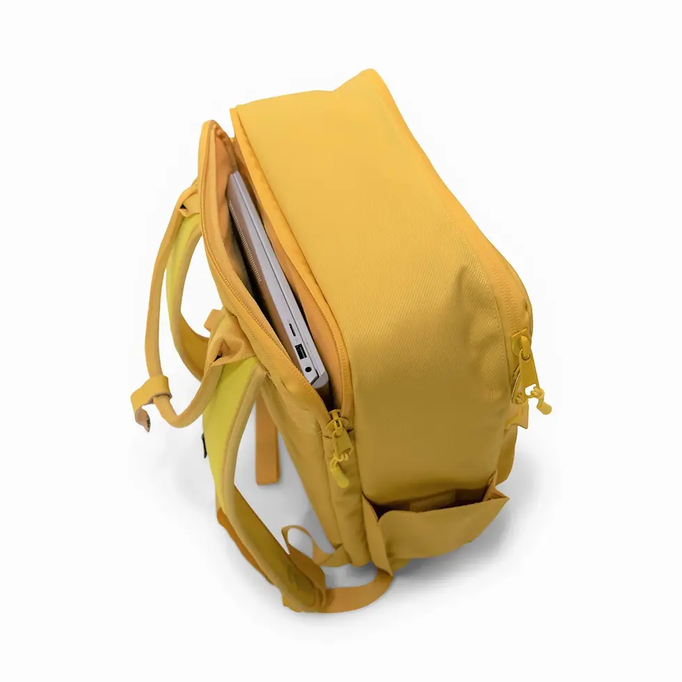 Thumbnail: Langly Sierra Backpack - Gold