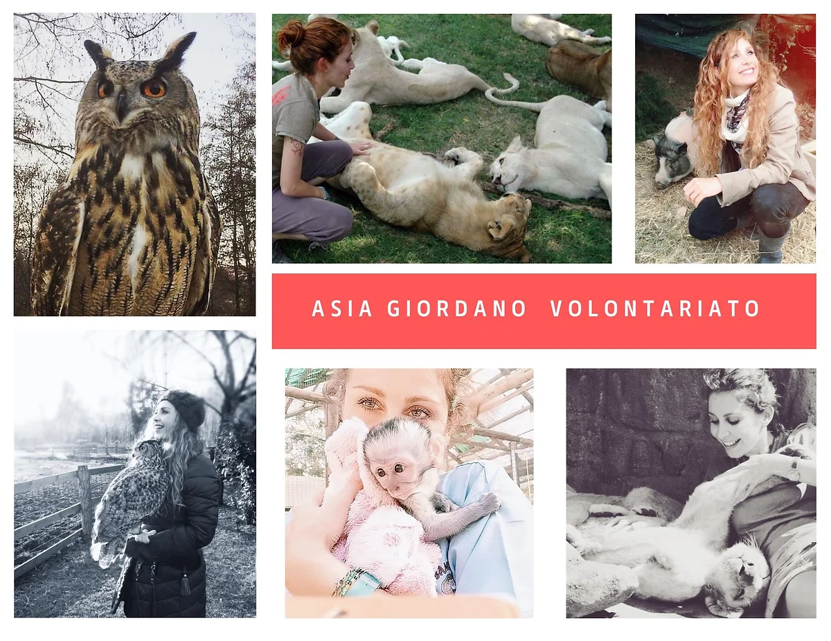 AsiaGiordanoAfrica.webp