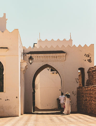 pexels-abdou-el-amri-114406713-13298278.jpg