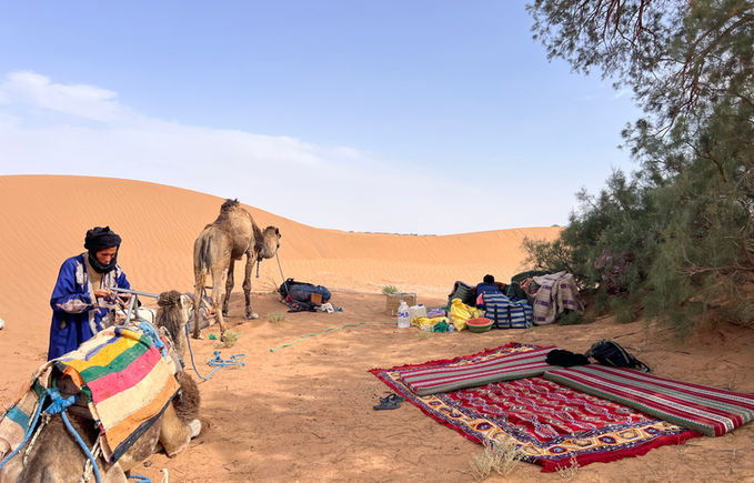 Break in the Moroccan desert. Camels and a local guide. Berber carpets. Authentic desert tour