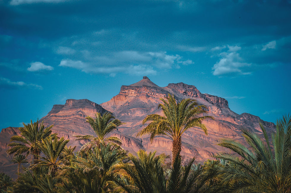 Beautiful Atlas Mountain view with palm groves. Draa Valley Tour Morocco