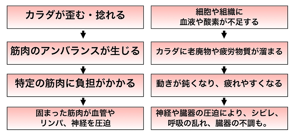身体の歪みがもたらす影響