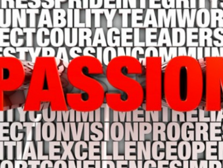 Passion Drives Success..Or does it?