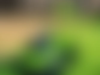 Lawn mower with freshly cut grass in background