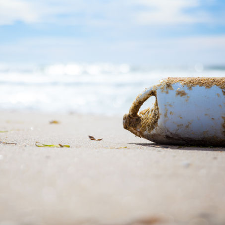 Alliance for a Living Ocean