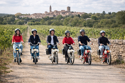 vignes pierre 6 solex.png