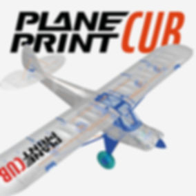 planeprint cub