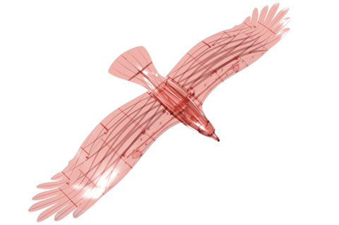 The Planeprint Eagle in rendering details.