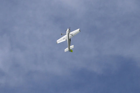 The Shard, 3d printed aerobatic rc plane