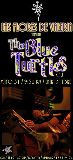 The Blues Turthes 2.jpg