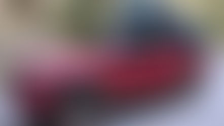 What you May Have Missed in December 2021