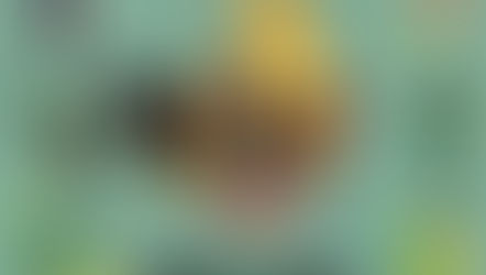 District 3360 Conference in Phitsanulok