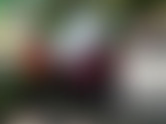 Success at Ban Pao Wattatakarn School