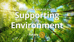 The Seventh Area of Focus