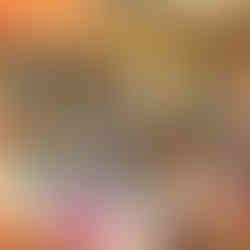 Agape Home Chiang Mai Book Donation Project