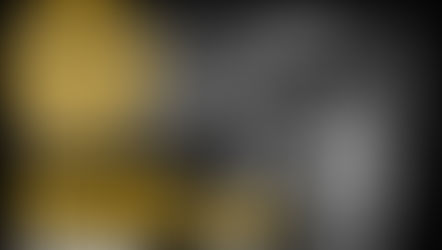 November is Rotary Foundation Month