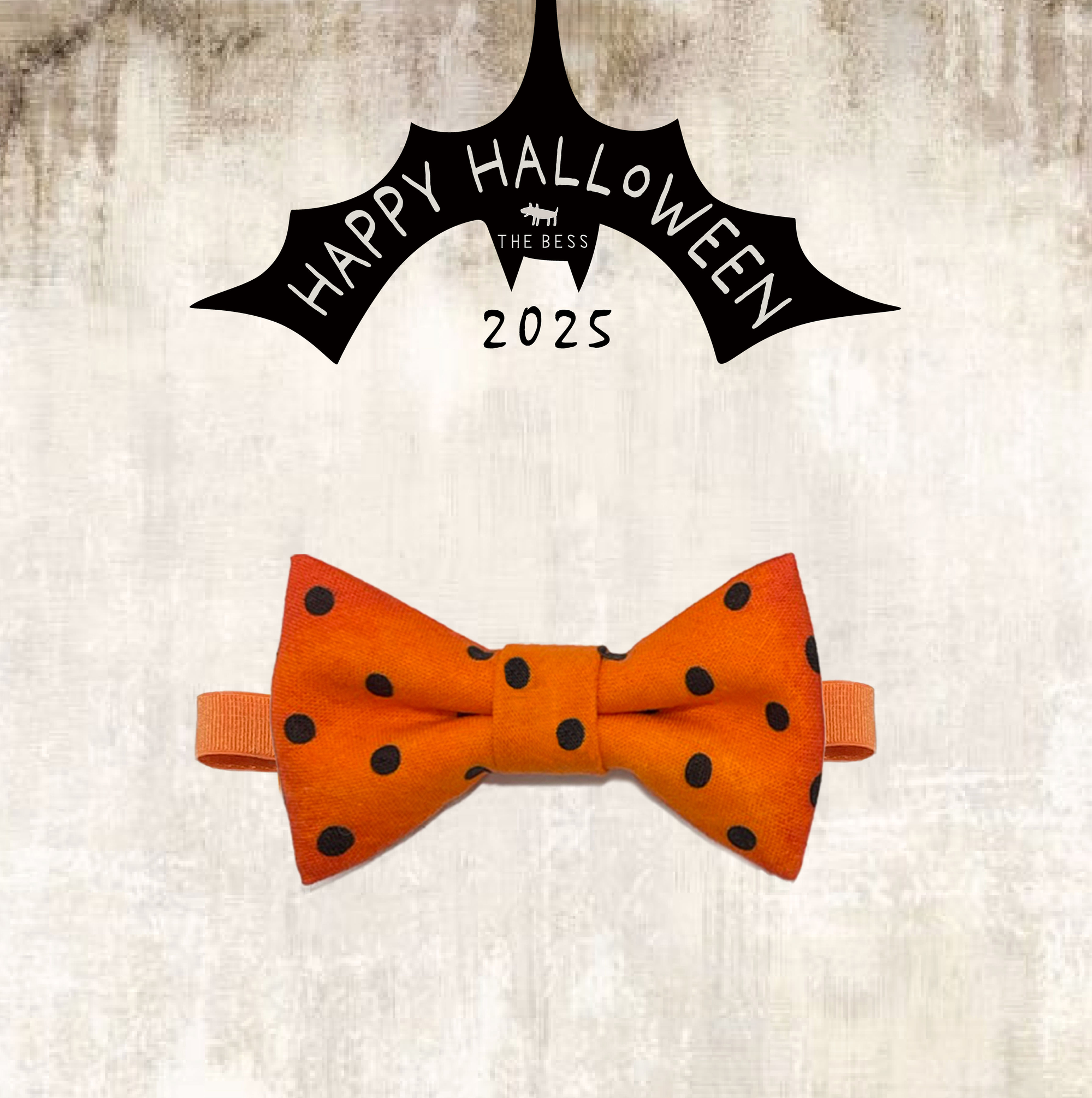 RIB203 HW-DOTS ORANGE