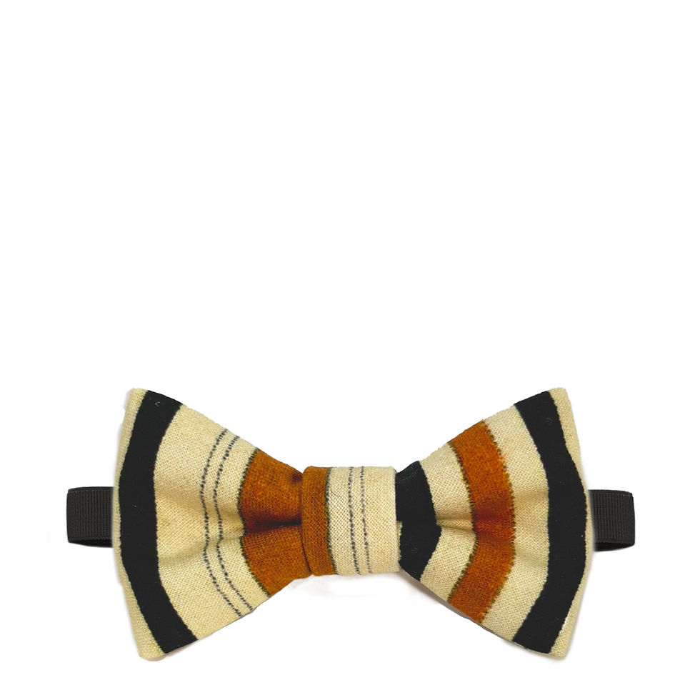 犬 ハロウィン 蝶ネクタイ THE RIBON RIB BROWN BOR