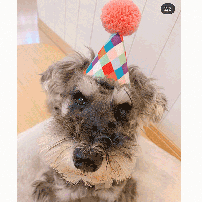 POMPOMHAT