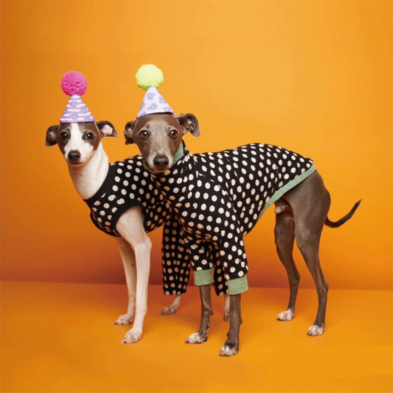 POMPOMHAT