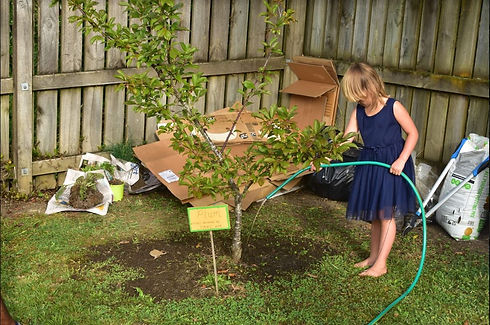 garden.JPG