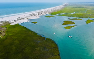 Lea Island
