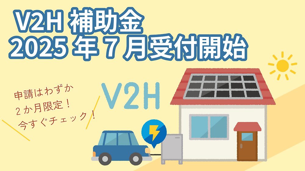 必修ラスパ 2025 即日発送可能 必修ラスパ 2025 即日発送可能 必修ラスパ 2025