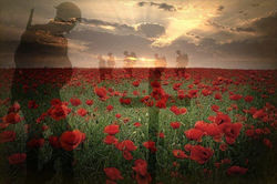 11th November 2024