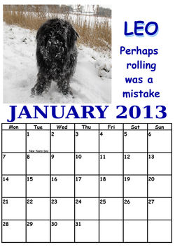 Leo is “Mr January” in the Newfound