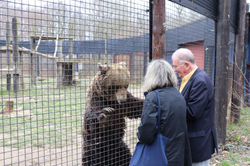 Kent Big Weekend - Wildwood 25/03/20