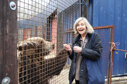 Kent Big Weekend - Wildwood 25/03/20