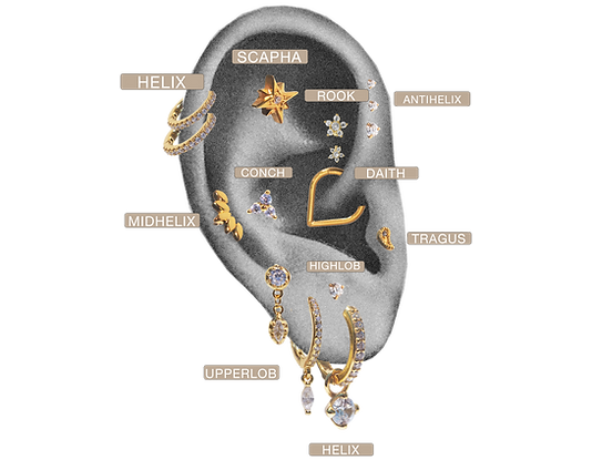Ilustración de las partes de la oreja con Helix, Tragus, Daith, Conch, y más. BOA ACCESORIOS