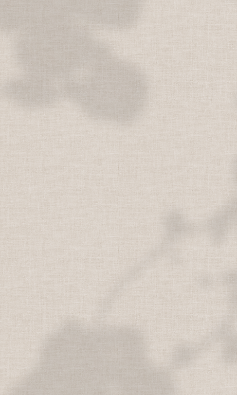 fondo.png