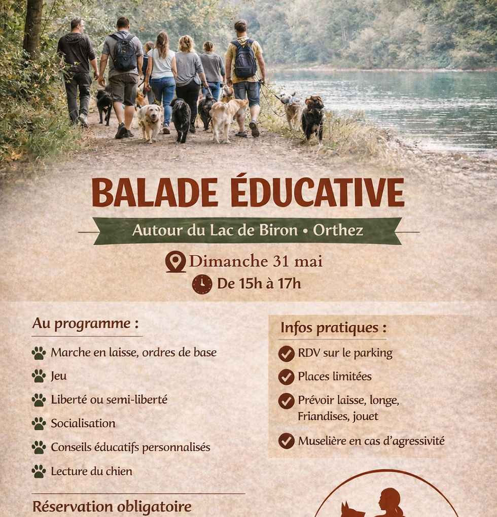 BALADE ÉDUCATIVE