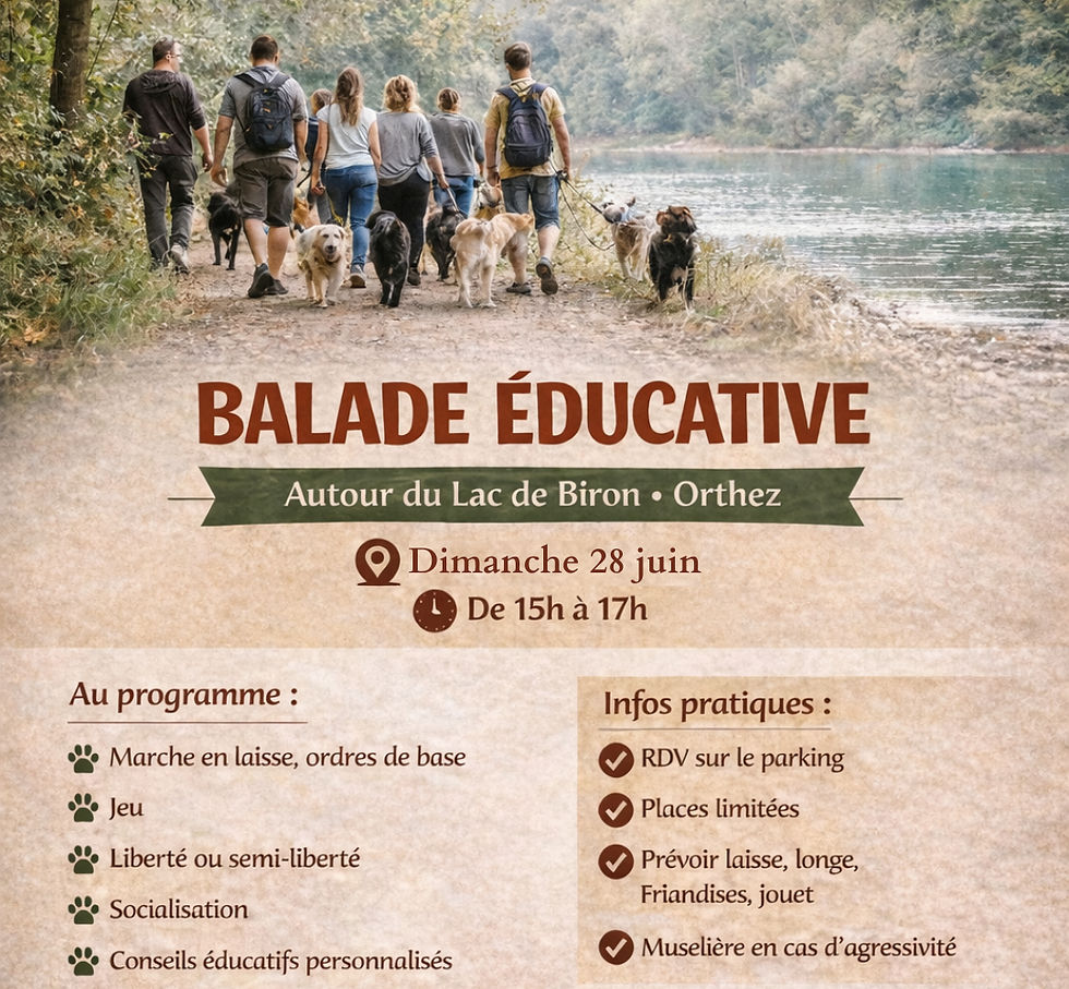 BALADE ÉDUCATIVE