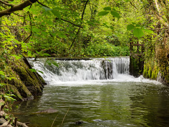 Historic weir on the River Frome in Vallis Vale near Frome, Somerset.