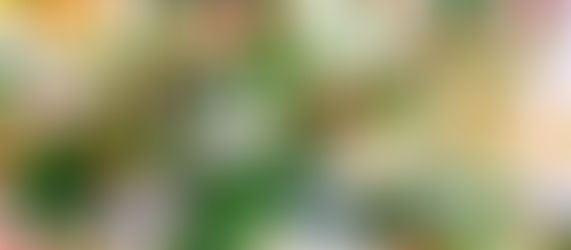 Chicken Caesar Salad with a Contemporary Twist