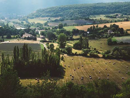 Where is Gascony? A beginner’s guide to France’s best kept secret