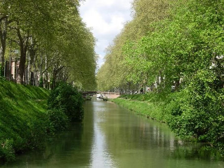 Things to do in Gascony in Spring and Early Summer