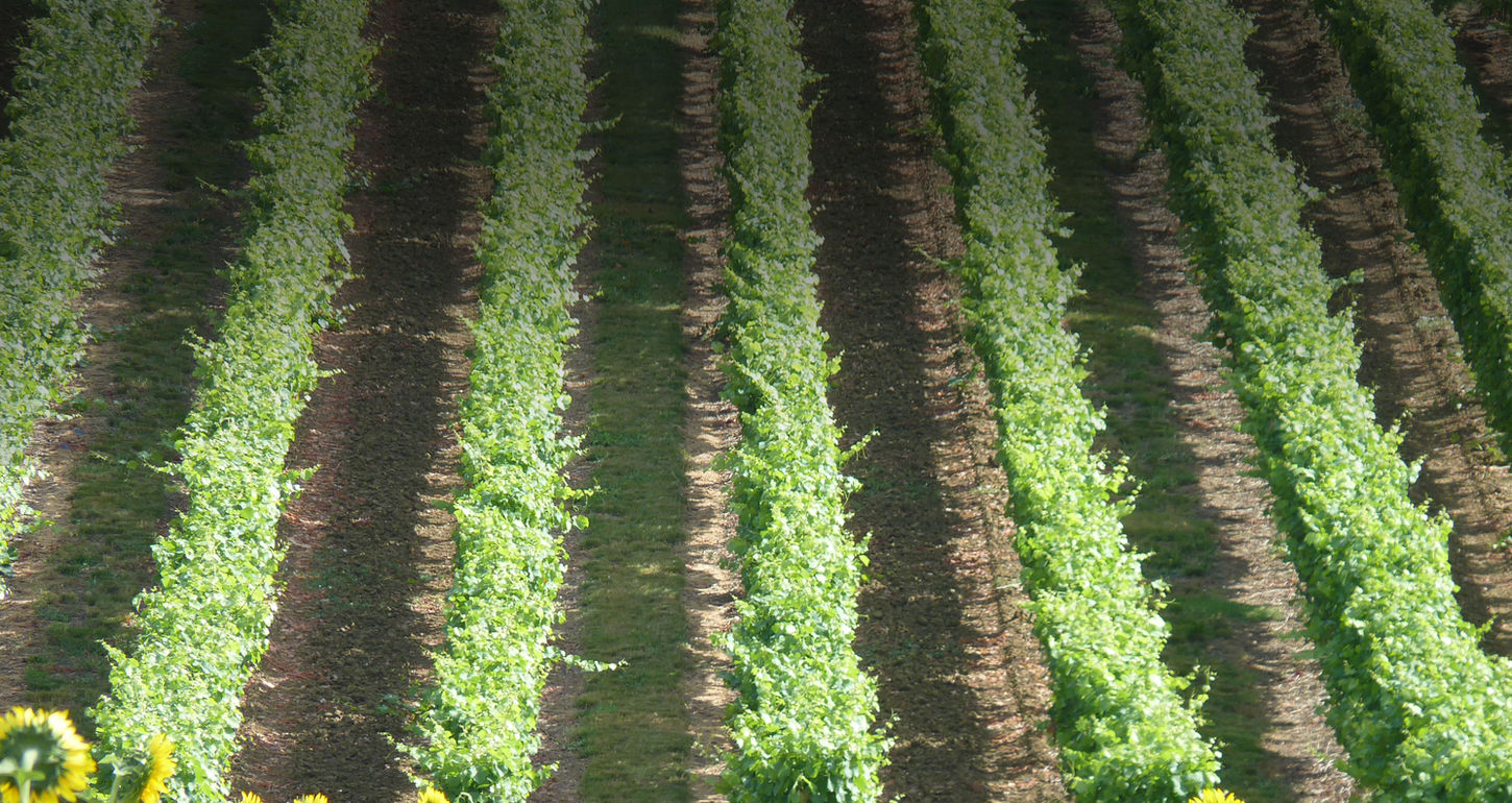 Simply-Gascony-Website-Getting-Here.jpg