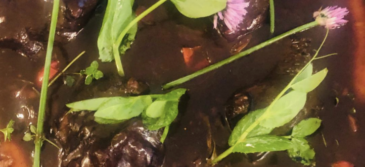 Annie’s ‘Goldfish’ Casserole!