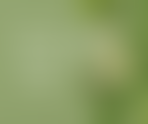 Unveiling the Secrets of Beautiful Skin: The Science of Aspire Ageless Beauty